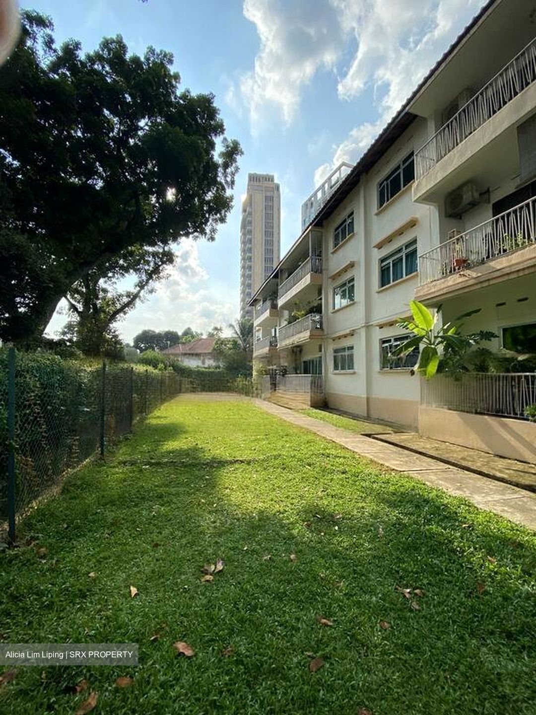 Rainbow Mansions (D10), Apartment #463561241